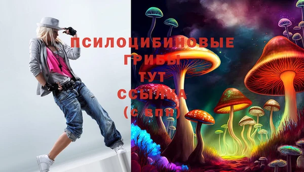 mdpv Баксан